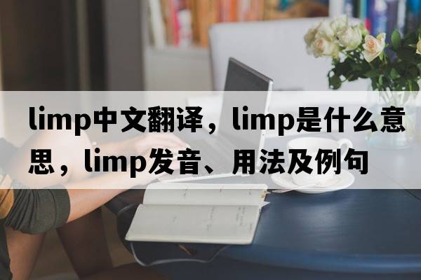 limp中文翻譯，limp是什么意思，limp發(fā)音、用法及例句