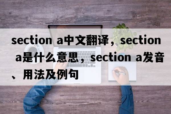 section a中文翻譯，section a是什么意思，section a發(fā)音、用法及例句