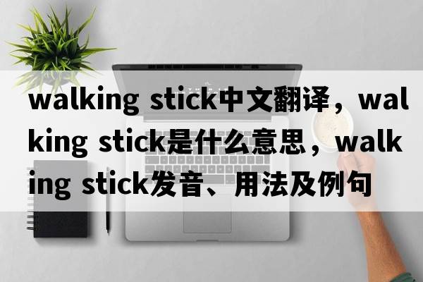 walking stick中文翻譯，walking stick是什么意思，walking stick發(fā)音、用法及例句