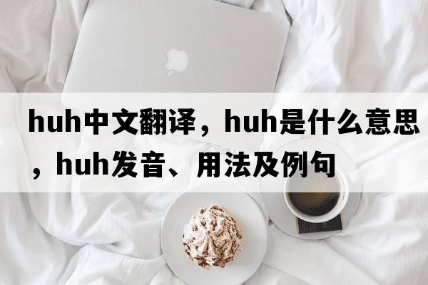 huh中文翻譯，huh是什么意思，huh發(fā)音、用法及例句