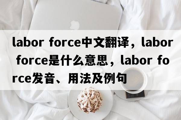 labor force中文翻譯，labor force是什么意思，labor force發(fā)音、用法及例句