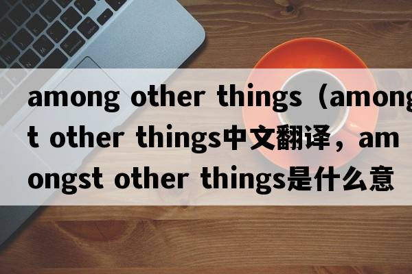 among other things（amongst other things中文翻譯，amongst other things是什么意思，amongst other things發(fā)音、用法及例句）
