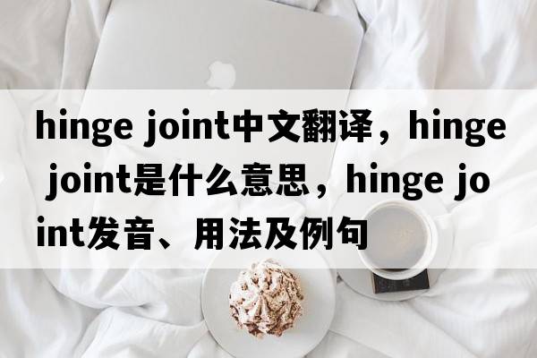 hinge joint中文翻譯，hinge joint是什么意思，hinge joint發(fā)音、用法及例句