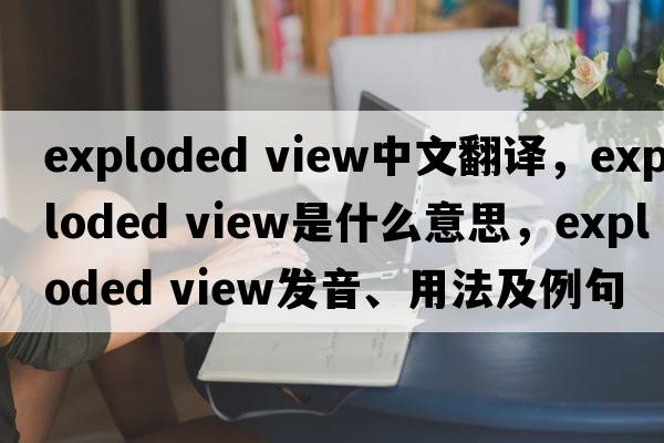 exploded view中文翻譯，exploded view是什么意思，exploded view發(fā)音、用法及例句