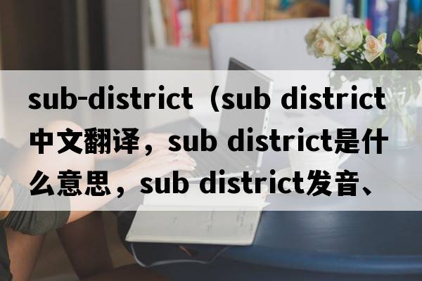 sub-district（sub district中文翻譯，sub district是什么意思，sub district發(fā)音、用法及例句）