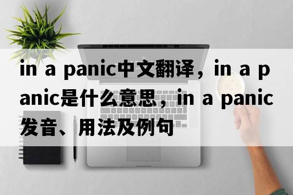 in a panic中文翻譯，in a panic是什么意思，in a panic發(fā)音、用法及例句