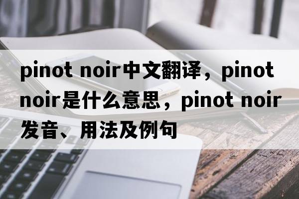 pinot noir中文翻譯，pinot noir是什么意思，pinot noir發(fā)音、用法及例句