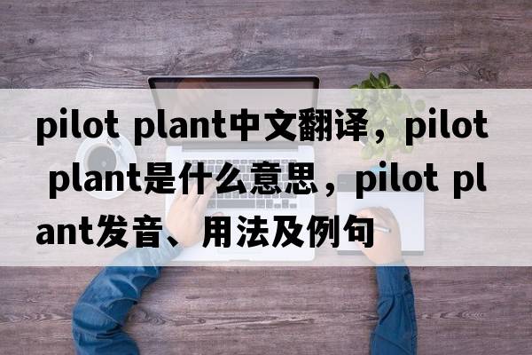 pilot plant中文翻譯，pilot plant是什么意思，pilot plant發(fā)音、用法及例句