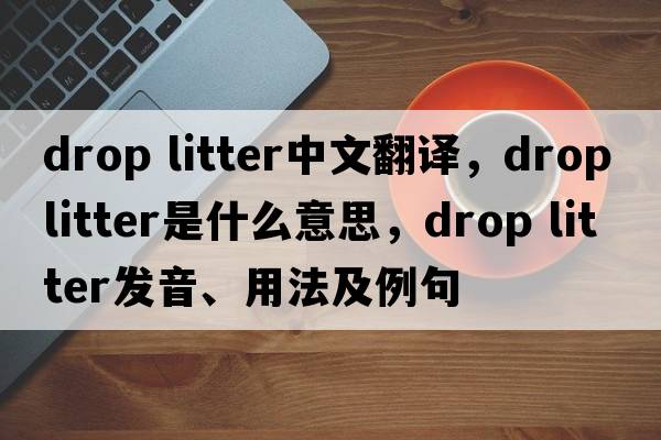 drop litter中文翻譯，drop litter是什么意思，drop litter發(fā)音、用法及例句