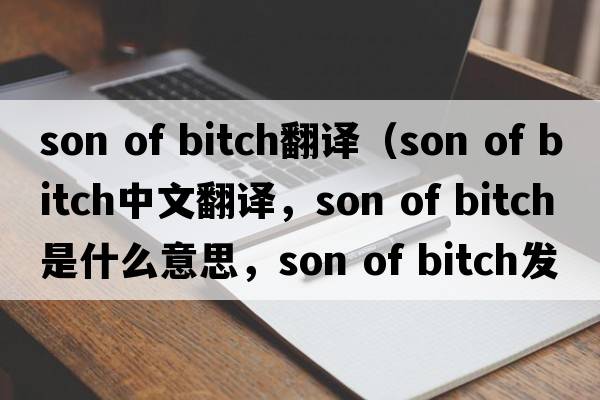 son of bitch翻譯（son of bitch中文翻譯，son of bitch是什么意思，son of bitch發(fā)音、用法及例句）