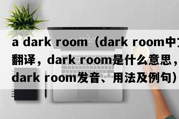 a dark room（dark room中文翻譯，dark room是什么意思，dark room發(fā)音、用法及例句）