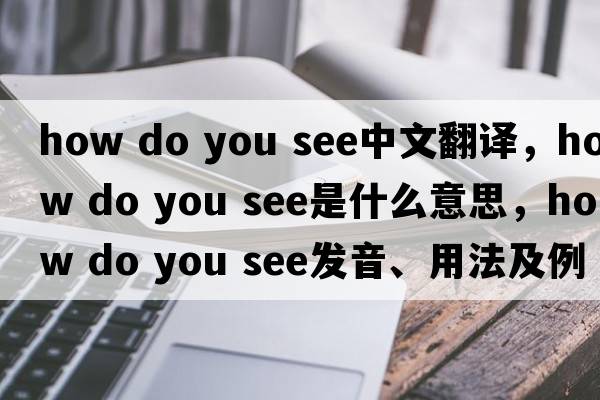 how do you see中文翻譯，how do you see是什么意思，how do you see發(fā)音、用法及例句