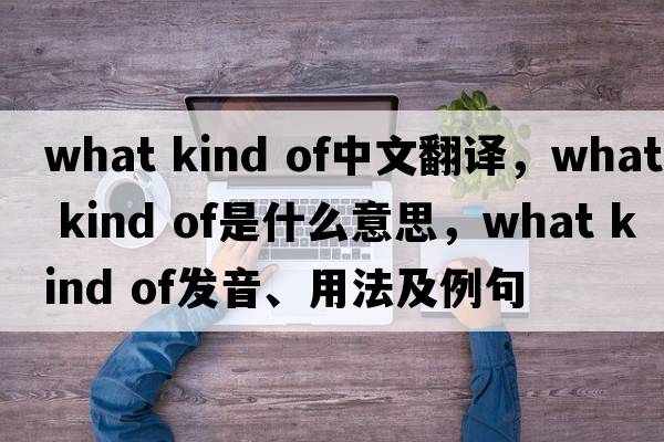 what kind of中文翻譯，what kind of是什么意思，what kind of發(fā)音、用法及例句