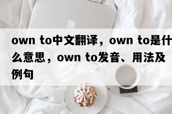 own to中文翻譯，own to是什么意思，own to發(fā)音、用法及例句