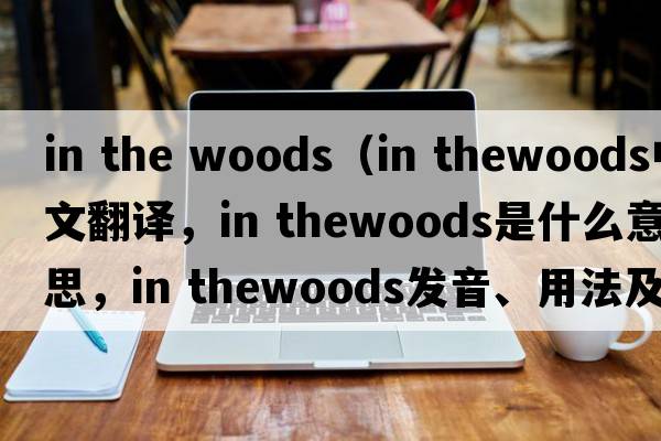 in the woods（in thewoods中文翻譯，in thewoods是什么意思，in thewoods發(fā)音、用法及例句）