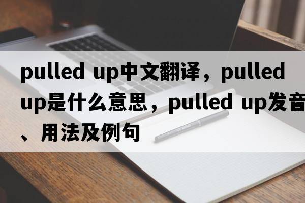 pulled up中文翻譯，pulled up是什么意思，pulled up發(fā)音、用法及例句