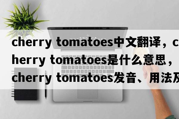 cherry tomatoes中文翻譯，cherry tomatoes是什么意思，cherry tomatoes發(fā)音、用法及例句