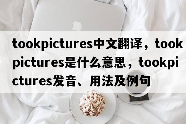 tookpictures中文翻譯，tookpictures是什么意思，tookpictures發(fā)音、用法及例句