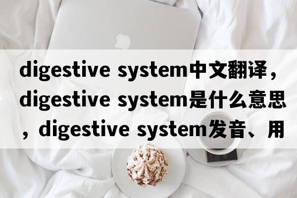 digestive system中文翻譯，digestive system是什么意思，digestive system發(fā)音、用法及例句