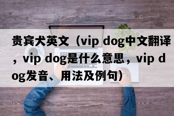 貴賓犬英文（vip dog中文翻譯，vip dog是什么意思，vip dog發(fā)音、用法及例句）