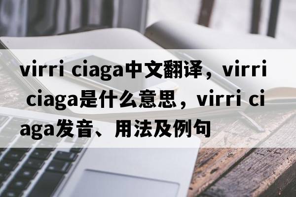 virri ciaga中文翻譯，virri ciaga是什么意思，virri ciaga發(fā)音、用法及例句