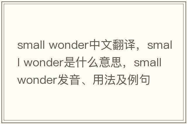 small wonder中文翻譯，small wonder是什么意思，small wonder發(fā)音、用法及例句