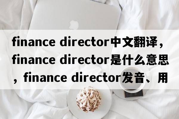 finance director中文翻譯，finance director是什么意思，finance director發(fā)音、用法及例句