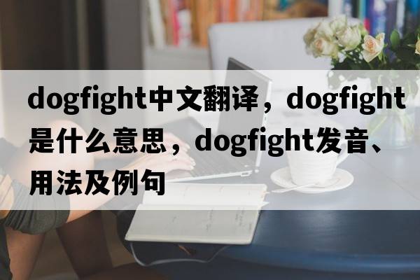 dogfight中文翻譯，dogfight是什么意思，dogfight發(fā)音、用法及例句