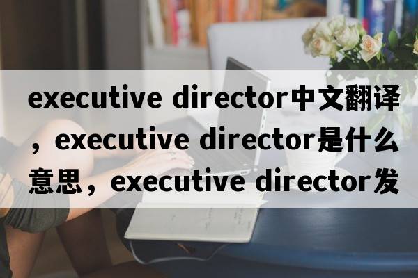 executive director中文翻譯，executive director是什么意思，executive director發(fā)音、用法及例句