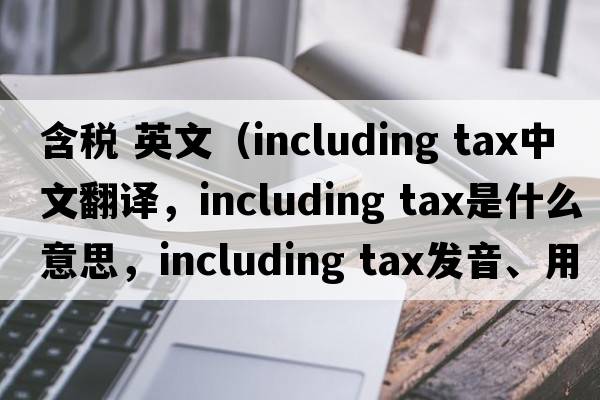 含稅 英文（including tax中文翻譯，including tax是什么意思，including tax發(fā)音、用法及例句）