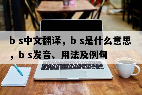 B S中文翻譯，B S是什么意思，B S發(fā)音、用法及例句