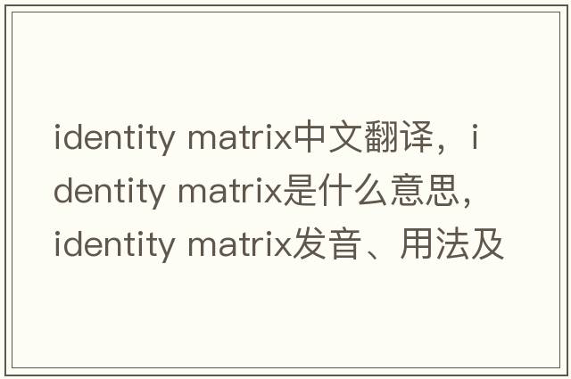 identity matrix中文翻譯，identity matrix是什么意思，identity matrix發(fā)音、用法及例句