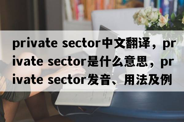 private sector中文翻譯，private sector是什么意思，private sector發(fā)音、用法及例句