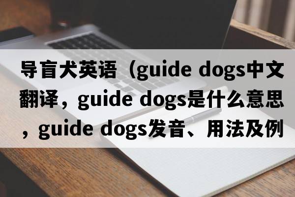 導(dǎo)盲犬英語（guide dogs中文翻譯，guide dogs是什么意思，guide dogs發(fā)音、用法及例句）