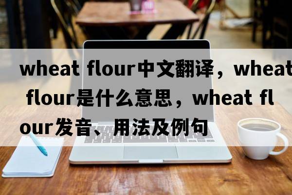 wheat flour中文翻譯，wheat flour是什么意思，wheat flour發(fā)音、用法及例句
