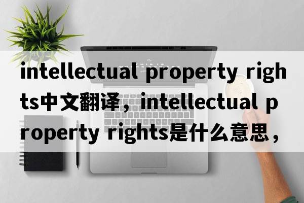 intellectual property rights中文翻譯，intellectual property rights是什么意思，intellectual property rights發(fā)音、用法