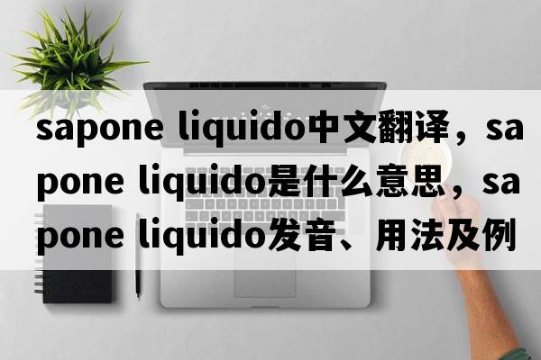 sapone liquido中文翻譯，sapone liquido是什么意思，sapone liquido發(fā)音、用法及例句