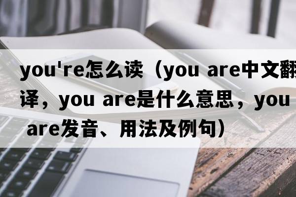 you're怎么讀（you are中文翻譯，you are是什么意思，you are發(fā)音、用法及例句）