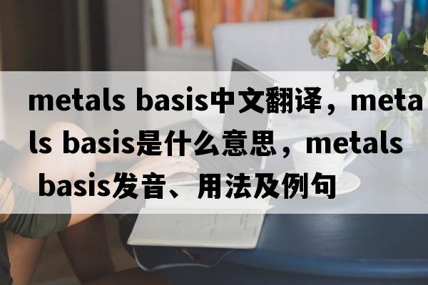metals basis中文翻譯，metals basis是什么意思，metals basis發(fā)音、用法及例句