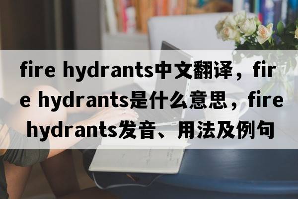 fire hydrants中文翻譯，fire hydrants是什么意思，fire hydrants發(fā)音、用法及例句