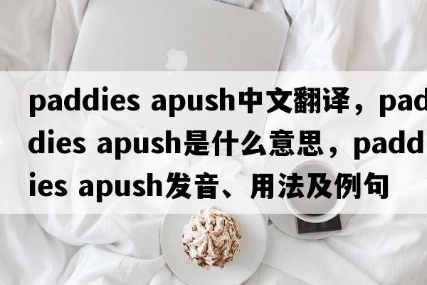 paddies apush中文翻譯，paddies apush是什么意思，paddies apush發(fā)音、用法及例句