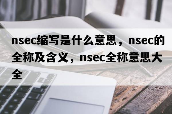 nsec縮寫是什么意思，nsec的全稱及含義，nsec全稱意思大全