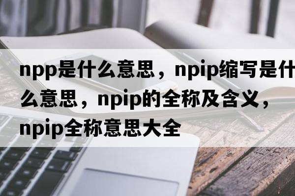 npp是什么意思，npip縮寫是什么意思，npip的全稱及含義，npip全稱意思大全