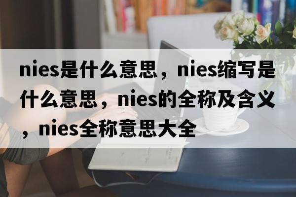nies是什么意思，nies縮寫(xiě)是什么意思，nies的全稱及含義，nies全稱意思大全
