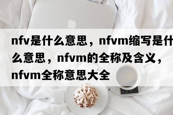 nfv是什么意思，nfvm縮寫是什么意思，nfvm的全稱及含義，nfvm全稱意思大全