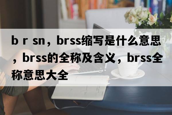 b r sn，brss縮寫是什么意思，brss的全稱及含義，brss全稱意思大全