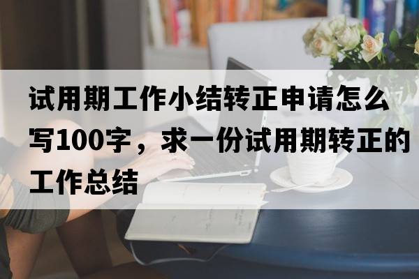 試用期工作小結(jié)轉(zhuǎn)正申請?jiān)趺磳?00字，求一份試用期轉(zhuǎn)正的工作總結(jié)