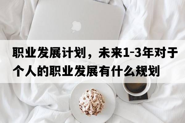 職業(yè)發(fā)展計劃，未來1-3年對于個人的職業(yè)發(fā)展有什么規(guī)劃