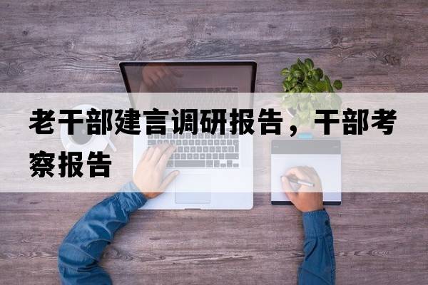 老干部建言調(diào)研報告，干部考察報告