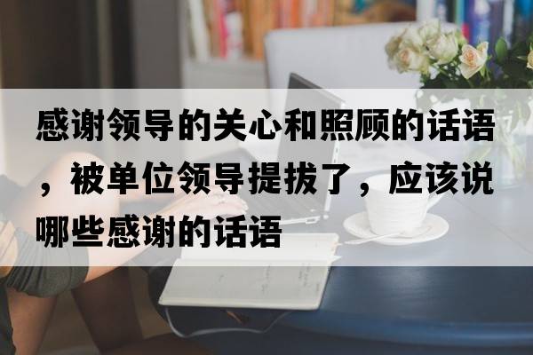感謝領導的關心和照顧的話語，被單位領導提拔了，應該說哪些感謝的話語